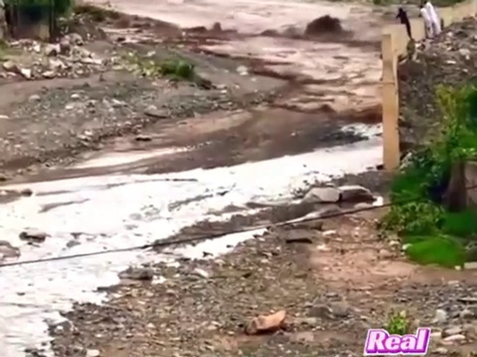 Real_Nature_amazing(360p)