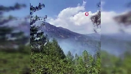 Muğla’da yangınla mücadele havadan ve karadan devam ediyor