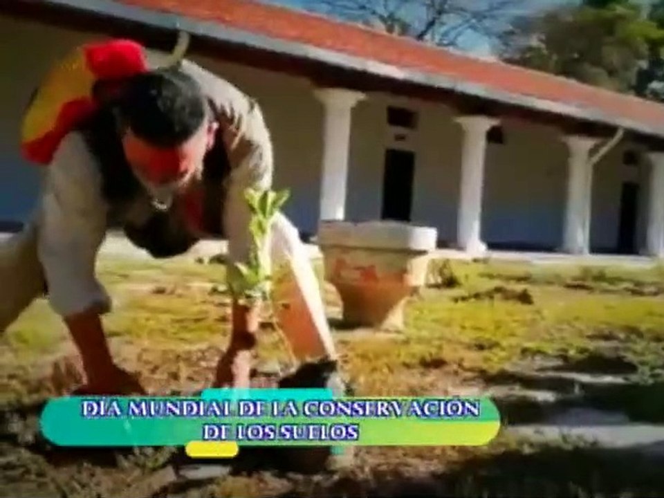 Punto Verde | La conservación de los suelos y su importancia