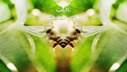 مسلسل نبض مؤقت الحلقه الثالثه عشر