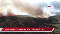 Urla'da makilik ve bozuk orman alanında yangın