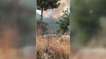 Son dakika haberleri: Seydikemer'de orman yangını çıktı