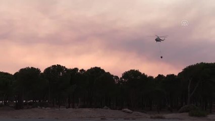 Son dakika: Manavgat'ta orman yangınlarına gün içinde havadan yoğun müdahale yapılıyor