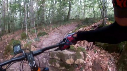 VTT Forêt de Chinon