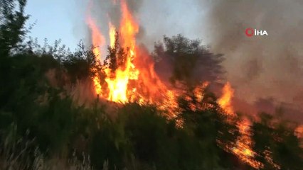 Adıyaman’da korkutan bahçe yangını