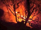 Samsun'da orman yangını; 7 hektarlık alan zarar gördü