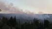 Son dakika haberleri | GAZİANTEP - Nizip ilçesinde ormanlık alanda çıkan yangın kontrol altına alındı