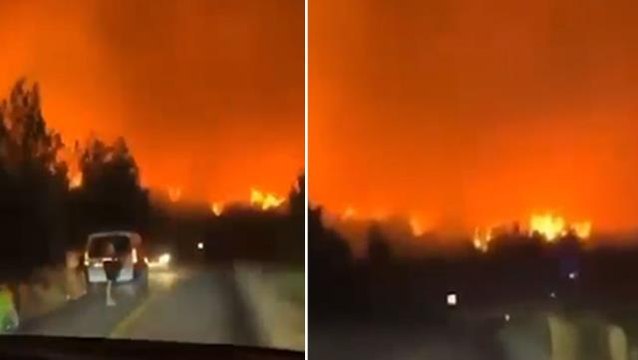 Siyah gökyüzü kıpkırmızı oldu! Akın akın tahliye edilen Bodrum'dan tüyler ürperten görüntü