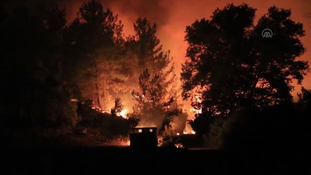 Milas'ta ormanlık alanda çıkan yangın kontrol altına alınmaya çalışılıyor