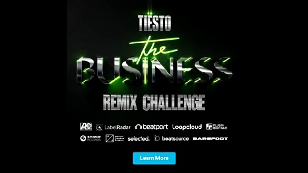 Tiesto_The_Business_Nus_Endian_remix