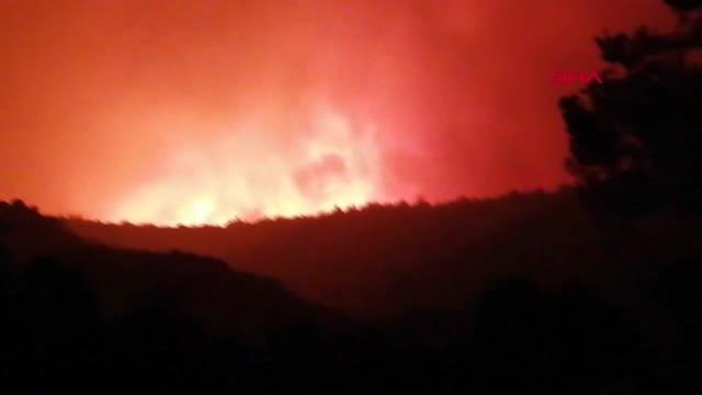 Milas'ta orman yangını BODRUM'DA 2 MAHALLE TAHLİYE EDİLDİ