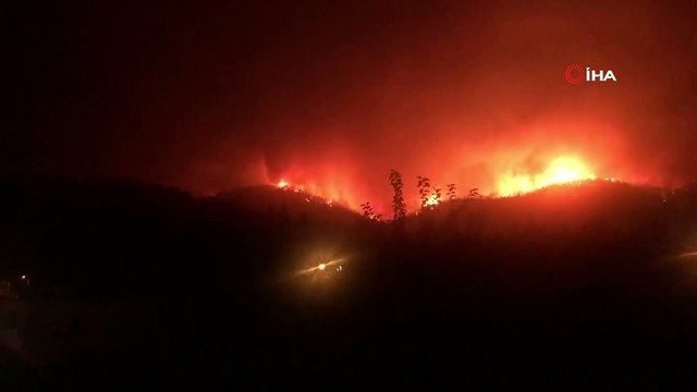 Milas’ta başlayan yangın Bodrum’a sıçradı