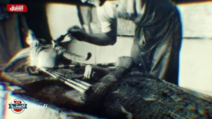 أكبر السفن في العالم