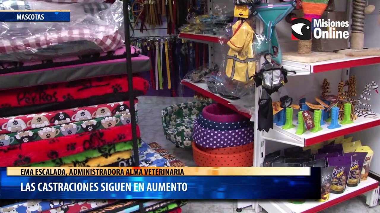 Las castraciones siguen en aumento
