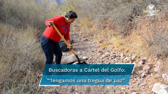 Madres buscadoras en Tamaulipas piden tregua al Cártel del Golfo para ingresar a predio