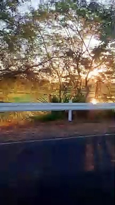 Sunrise