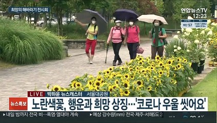 서울대공원 희망의 해바라기 물결…코로나 우울 극복