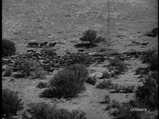 The Restless Gun Season 2 Episode 18 Blood of Courage