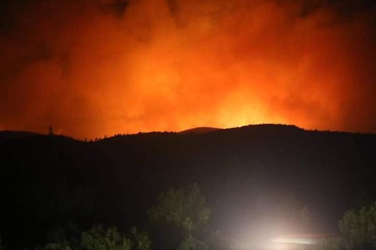 Gece vakti tüyler ürperten görüntülerin geldiği Bodrum'dan kötü haberler peş peşe geliyor! Yangın 2 mahalleye daha sıçradı
