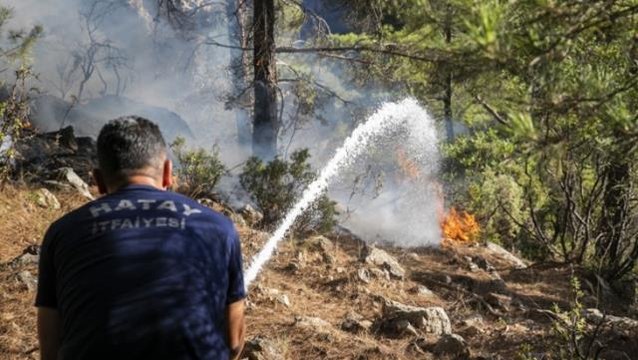 Son Dakika: Mersin ve Antalya'dan sonra bir güzel haber de Muğla'dan! Bodrum'da devam eden yangın kontrol altına alındı