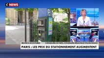 Béatrice Lecouturier sur l’augmentation du prix du stationnement à Paris : «On est en train de vider Paris»