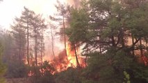 Son dakika haber | Marmaris'teki yangında zarar görenler yaşadıklarını anlattı