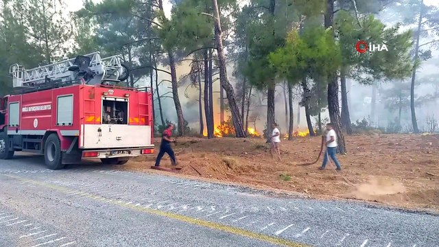 Milas'ta başlayan orman yangını Bodrum'a sıçradı söndürme çalışmaları devam ediyor