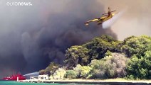 Yunanistan'da orman yangınları: 58 noktada yangın çıktı, beş köy boşaltıldı