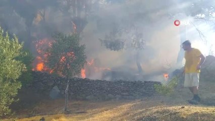 Muğla'da yangın bölgelerinde çalışmalar devam ediyor