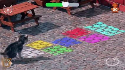 Cute cat animated educational cartoon children's film