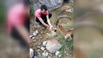 Hasta yaban keçisini 3 kilometre sırtında taşıdı