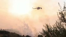 Los incendios forestales ponen en jaque varias zonas de Grecia, Italia y Turquía