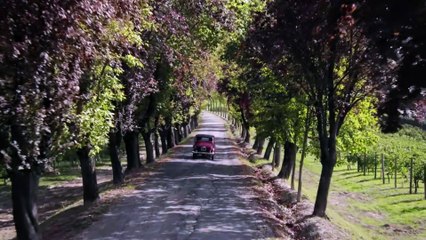 PAOLO CONTE VIA CON ME - Film Clip und Trailer