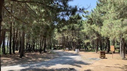 Mesire alanları ve tabiat parkları boş kaldı (1)