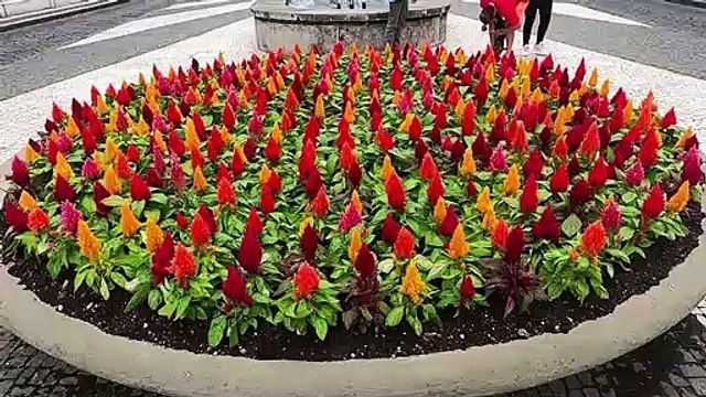Açores: Ponte Delgada