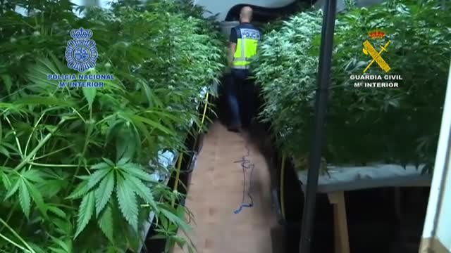 Desarticulada una banda de narcotráfico que operaba entre Holanda y España