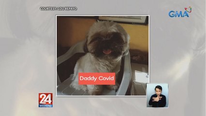 Mga aso, ipinangalan sa COVID at vaccines | 24 Oras Weekend