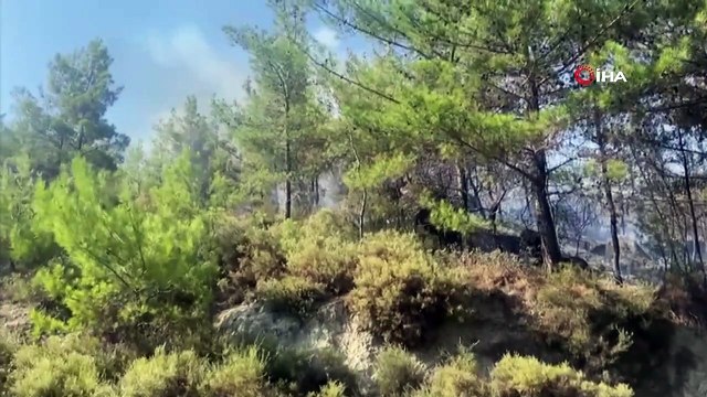 Seydikemer yangını rüzgarın şiddeti ile büyüyor