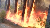 Des incendies ravagent le sud de la Turquie, des touristes et habitants évacués