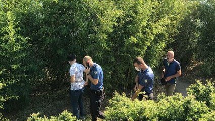 Son dakika haberleri... SAZLIK YANGININDA GÖRGÜ TANIKLARININ İDDİASI POLİSİ HAREKETE GEÇİRDİ