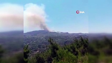 - Lübnan'da ormanlık alanda yangın