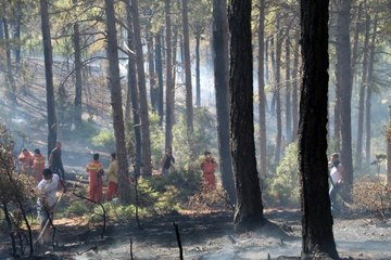 Vatandaşların kazma küreklerle koştuğu orman yangını söndürüldü