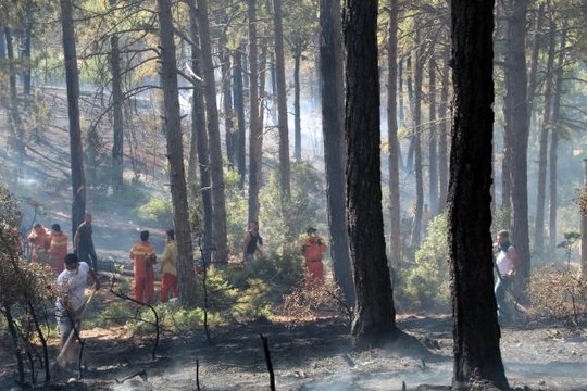 Vatandaşların kazma küreklerle koştuğu orman yangını söndürüldü