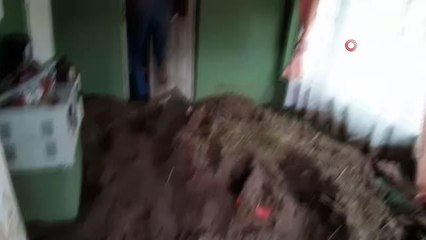 Son dakika... Çaldıran'da sel felaketi, onlarca hayvan telef oldu