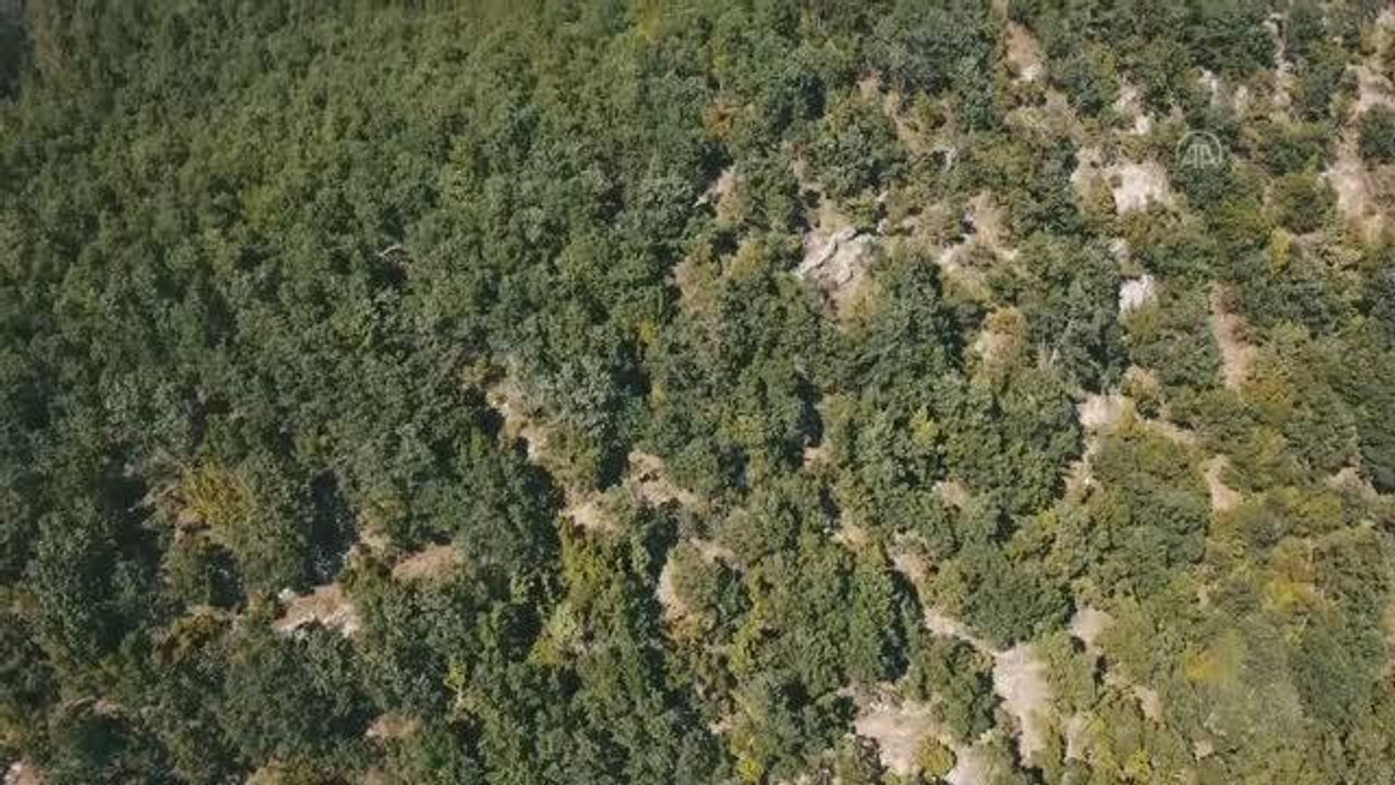 KAHRAMANMARAŞ - Ormanlık alanda kaybolan öğretmeni arama çalışmaları devam ediyor