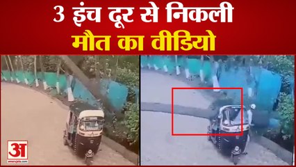 Coconut Tree Falls on Auto Rickshaw, Driver की बाल-बाल बची जान | Viral Video
