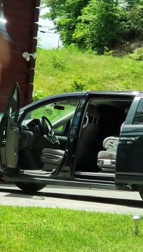 Quand un ours brun vient ouvrir la portière de voiture comme un homme