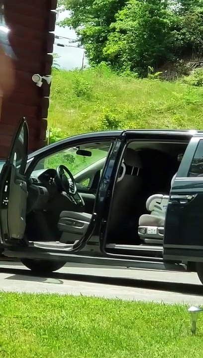 Quand un ours brun vient ouvrir la portière de voiture comme un homme