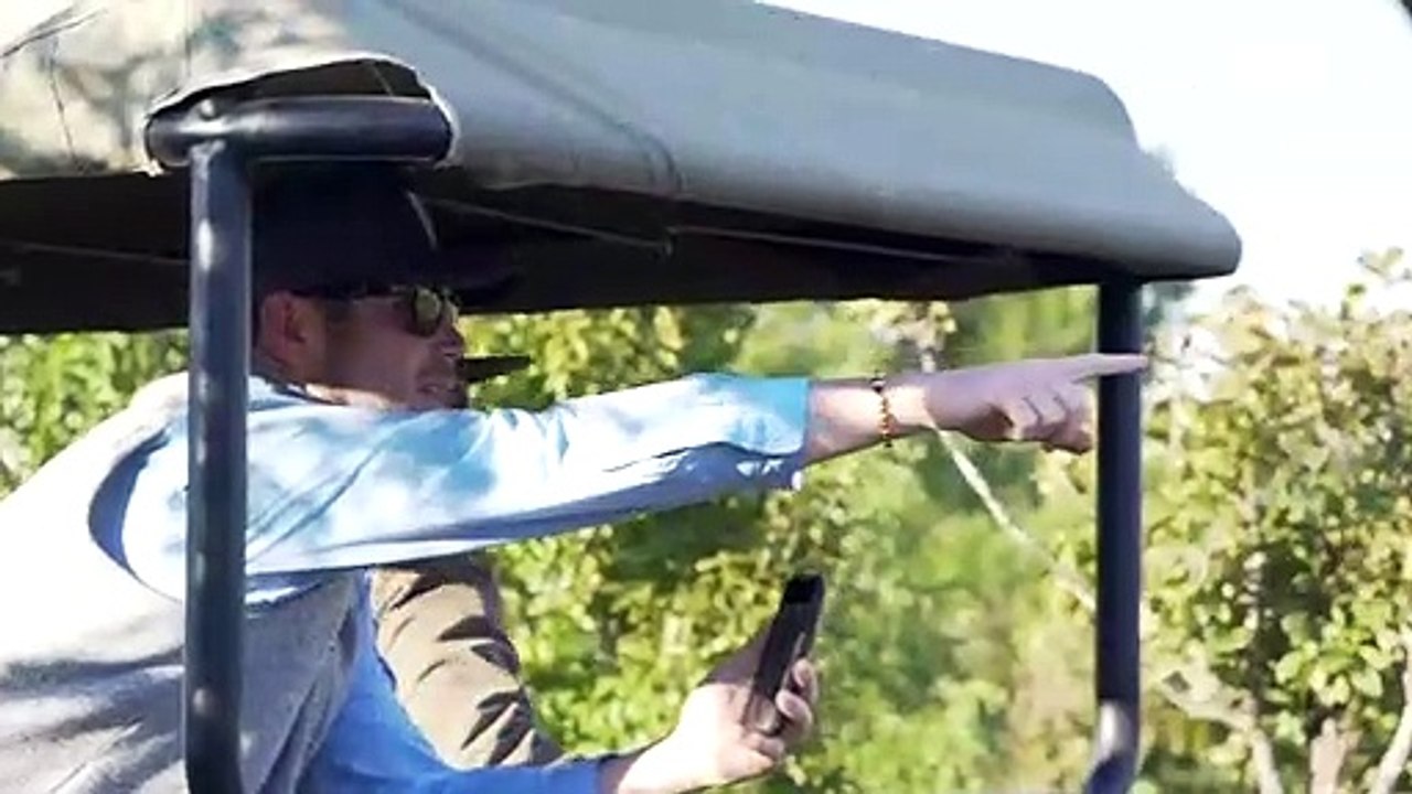 Une lionne s'en prend à un éléphant dans la savane