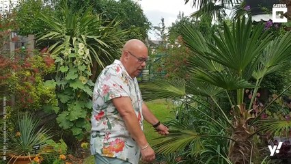 In diesem tropischen Garten stecken 25 Jahre Arbeit